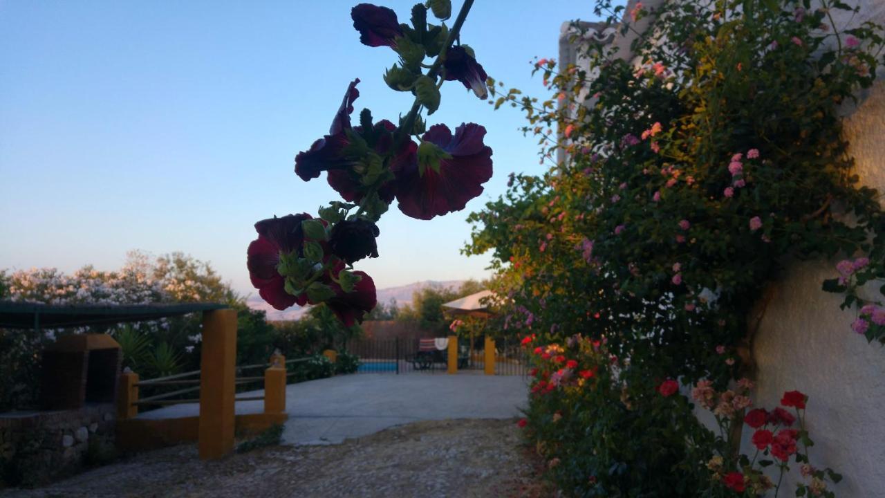 Casa Rural Huerta La Lapa Canete la Real Екстериор снимка