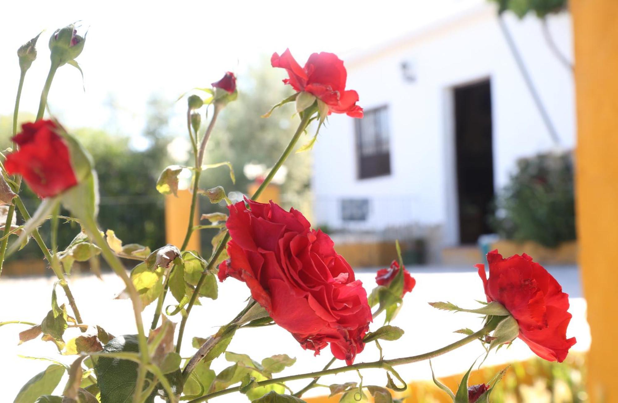Casa Rural Huerta La Lapa Canete la Real Екстериор снимка