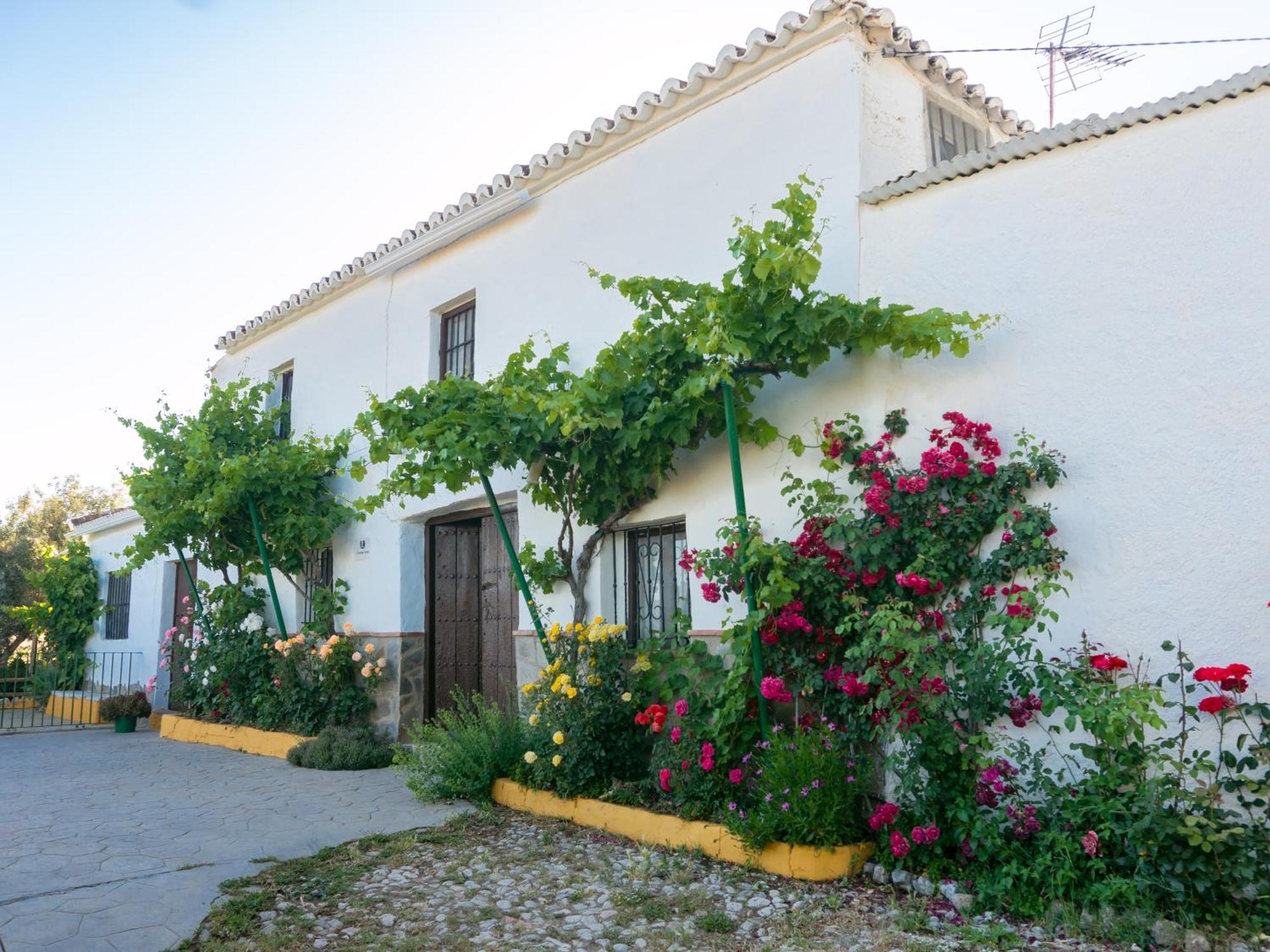 Casa Rural Huerta La Lapa Canete la Real Екстериор снимка